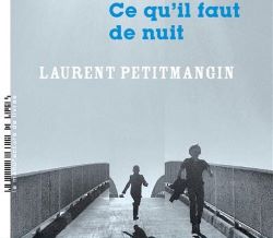 Notice du livre Laurent Petitmangin / Ce qu'il faut de nuit